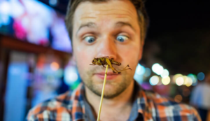 Entomofagia, il consumo alimentare di insetti: perché se ne riparla