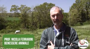 Nicola Ferrarini e il benessere animale: i docenti raccontano ITS Agroalimentare