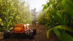 Droni, IA e robot: il futuro dell'agricoltura 4.0 è già qui